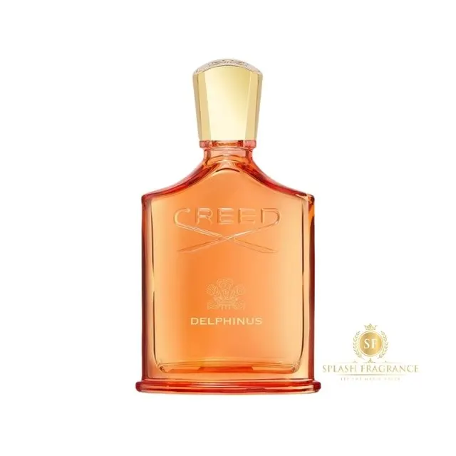 Delphinus (EDP 2024)