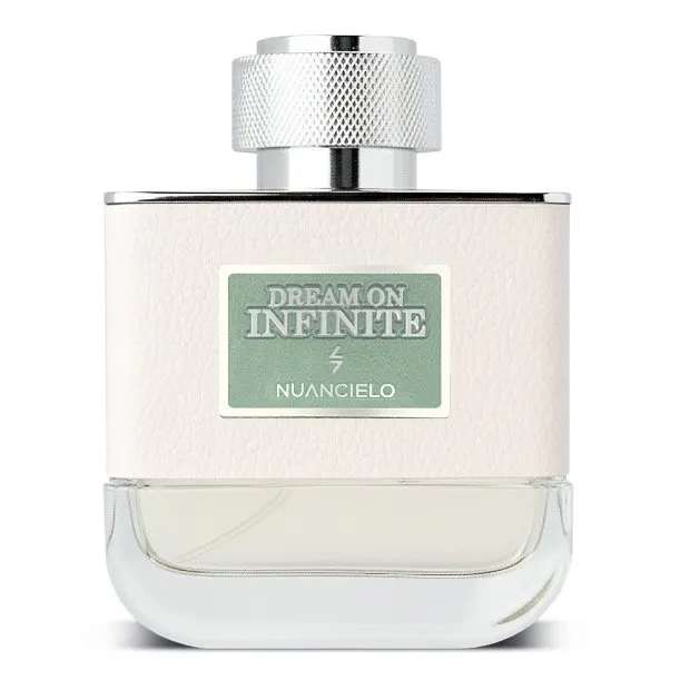 Dream On Infinite